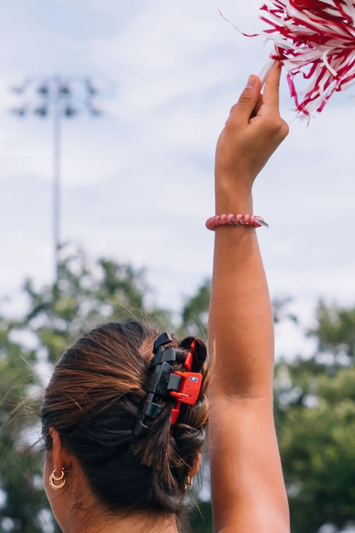 University of Georgia Large Claw Hair Clip